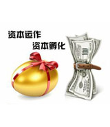 特別推薦：企業(yè)資本運營模式